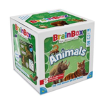 Green Boardgames Brain Box Animals