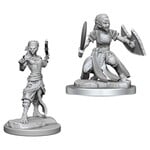 WizKids Dungeons and Dragons Nolzur's Marvelous Minis Shifter Fighter