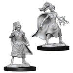 WizKids Dungeons and Dragons Nolzur's Marvelous Minis Female Human Sorceror