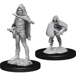 WizKids Dungeons and Dragons Nolzur's Marvelous Minis Darkling Elder and Darklings