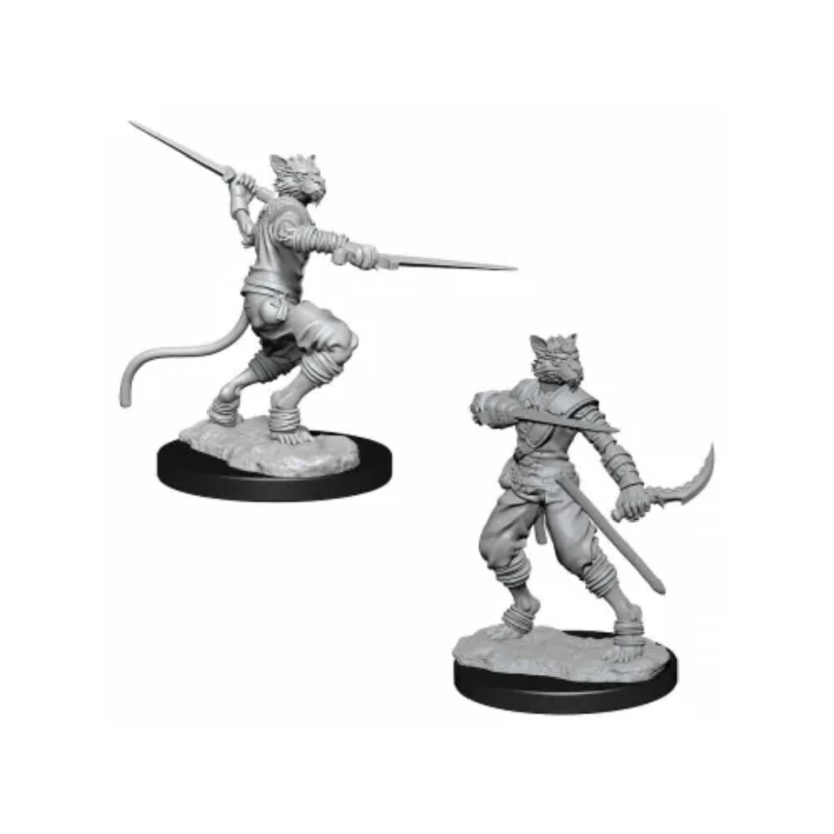 WizKids Dungeons and Dragons Nolzur's Marvelous Minis Tabaxi Rogue