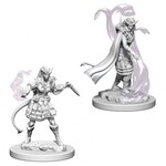 WizKids Dungeons and Dragons Nolzur's Marvelous Minis Tiefling Female Sorcerer