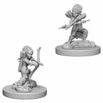 WizKids Pathfinder Deep Cuts Female Gnome Rogue