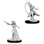 WizKids Pathfinder Deep Cuts Female Human Wizard