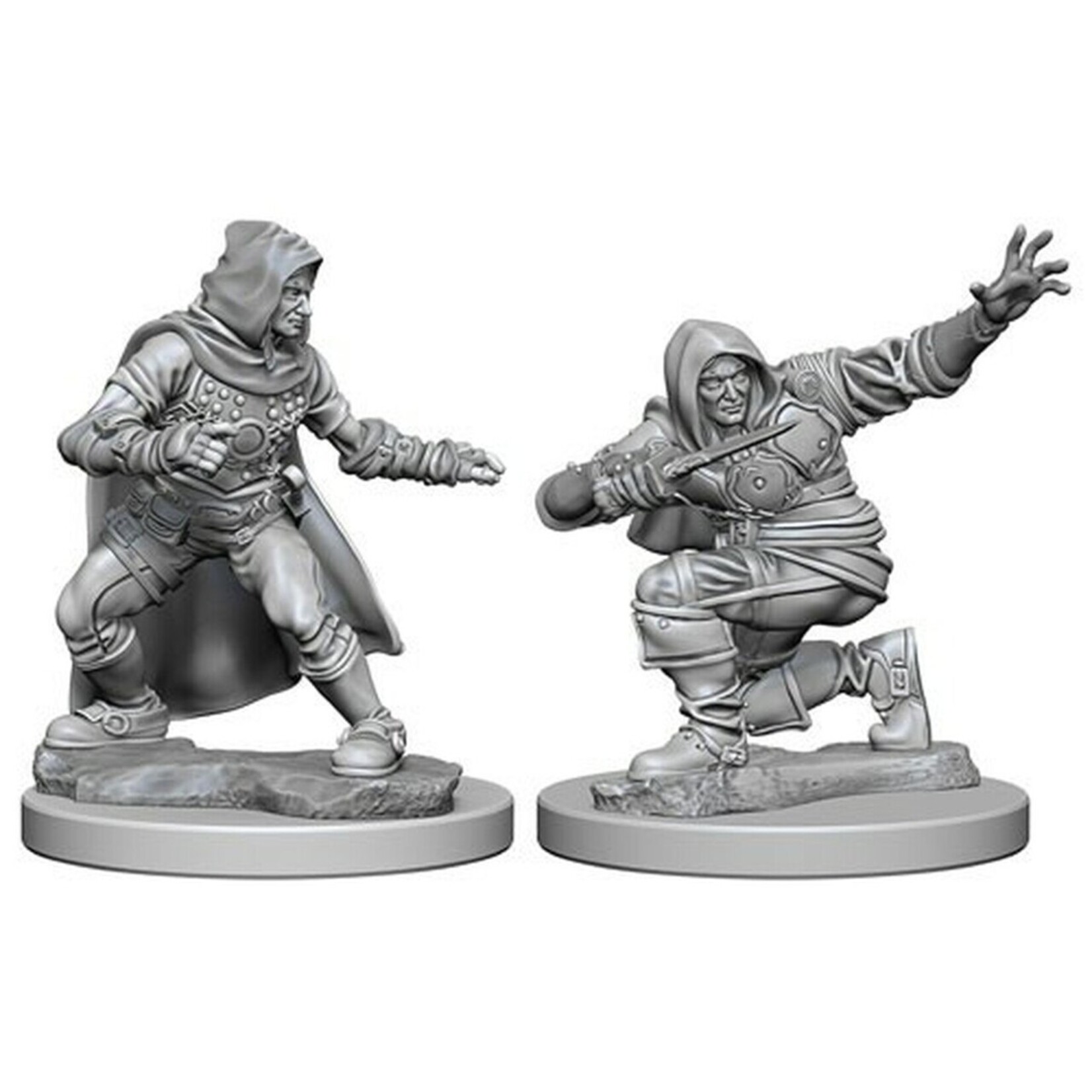 WizKids Pathfinder Deep Cuts Human Male Rogue