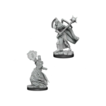 WizKids Pathfinder Deep Cuts Liches