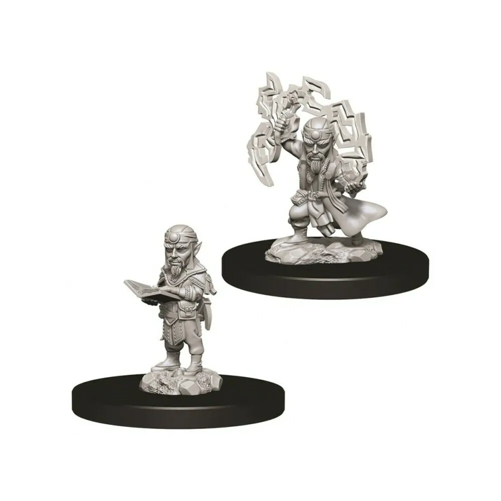 WizKids Pathfinder Deep Cuts Male Gnome Sorcerer