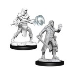 WizKids Dungeons and Dragons Nolzur's Marvelous Minis Multiclass Fighter Wizard Male