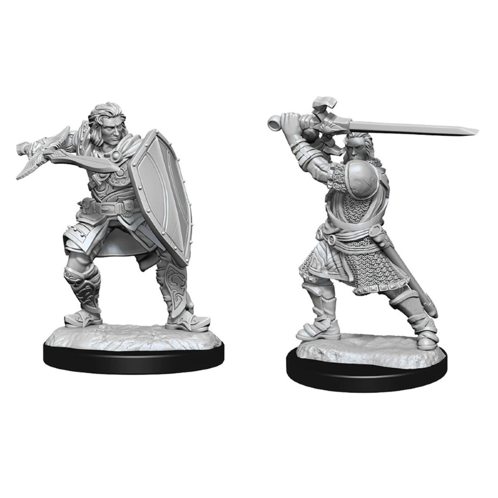 WizKids Dungeons and Dragons Nolzur's Marvelous Minis Human Paladin Male