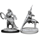 WizKids Dungeons and Dragons Nolzur's Marvelous Minis Human Monk Female