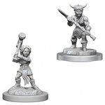 WizKids Dungeons and Dragons Nolzur's Marvelous Minis Halfling Barbarians