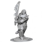 WizKids Dungeons and Dragons Nolzur's Marvelous Minis Fire Giant