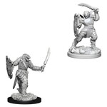 WizKids Dungeons and Dragons Nolzur's Marvelous Minis Dragonborn Paladin