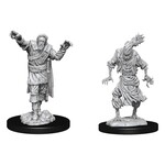 WizKids Dungeons and Dragons Nolzur's Marvelous Minis Scarecrow and Stone Cursed