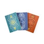 Darrington Press Guild Beauty of Exandria The Archives Libraries of Exandria Notebooks 3 pack