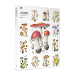 Pomegranate Communications 1000 pc Puzzle Alexander Viazmensky Mushrooms
