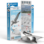 Safari Ltd Eugy 3D Puzzle Royal Albatross