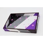 Foam Brain Games Chromatic Pride Dice Tray Asexual