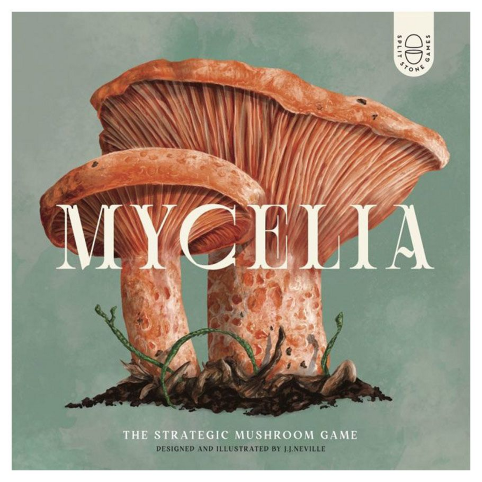 Kids Table Games Mycelia