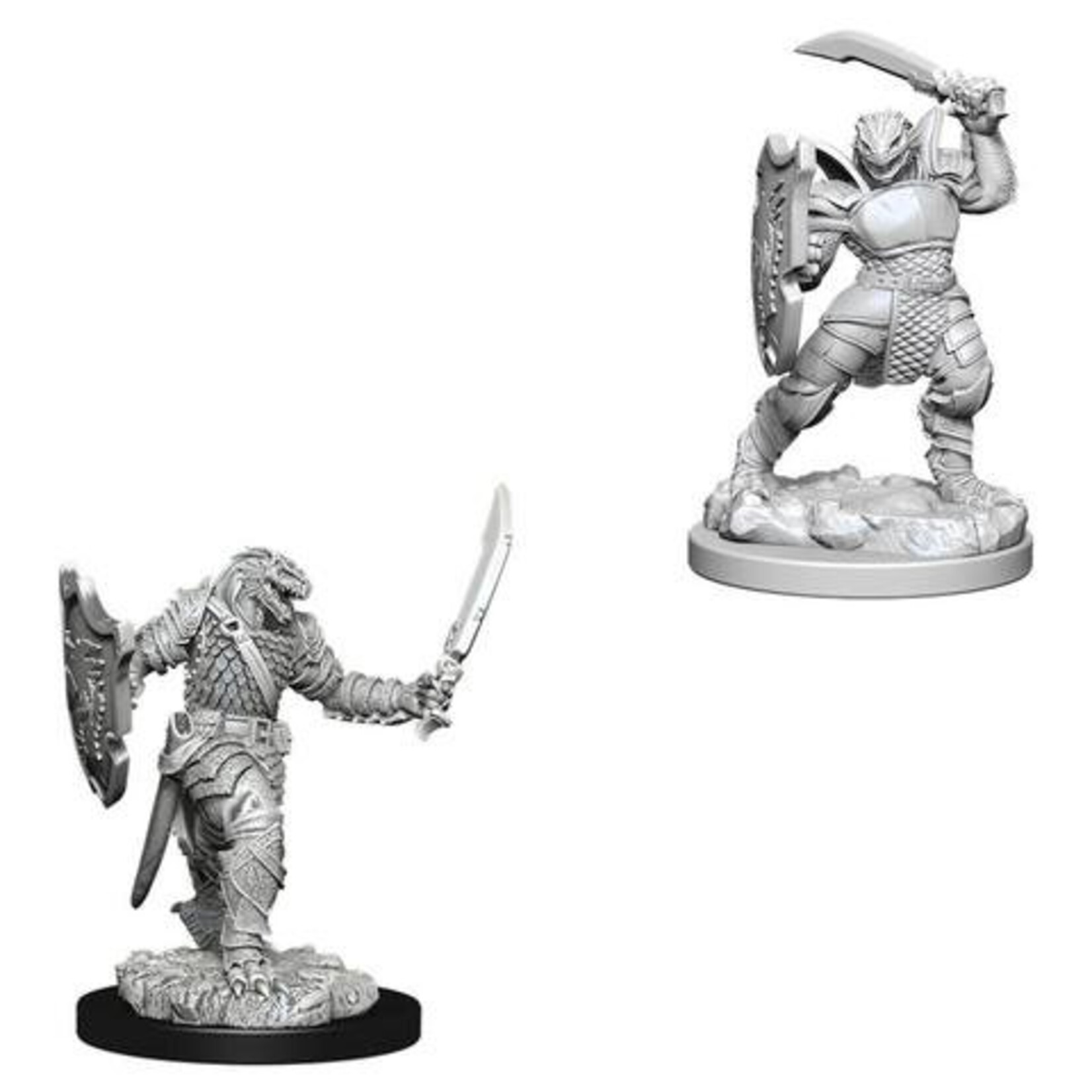 WizKids Dungeons and Dragons Nolzur's Marvelous Minis Dragonborn Paladin