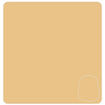 Games Workshop Warhammer Colour Layer Flayed One Flesh 12 ml POT