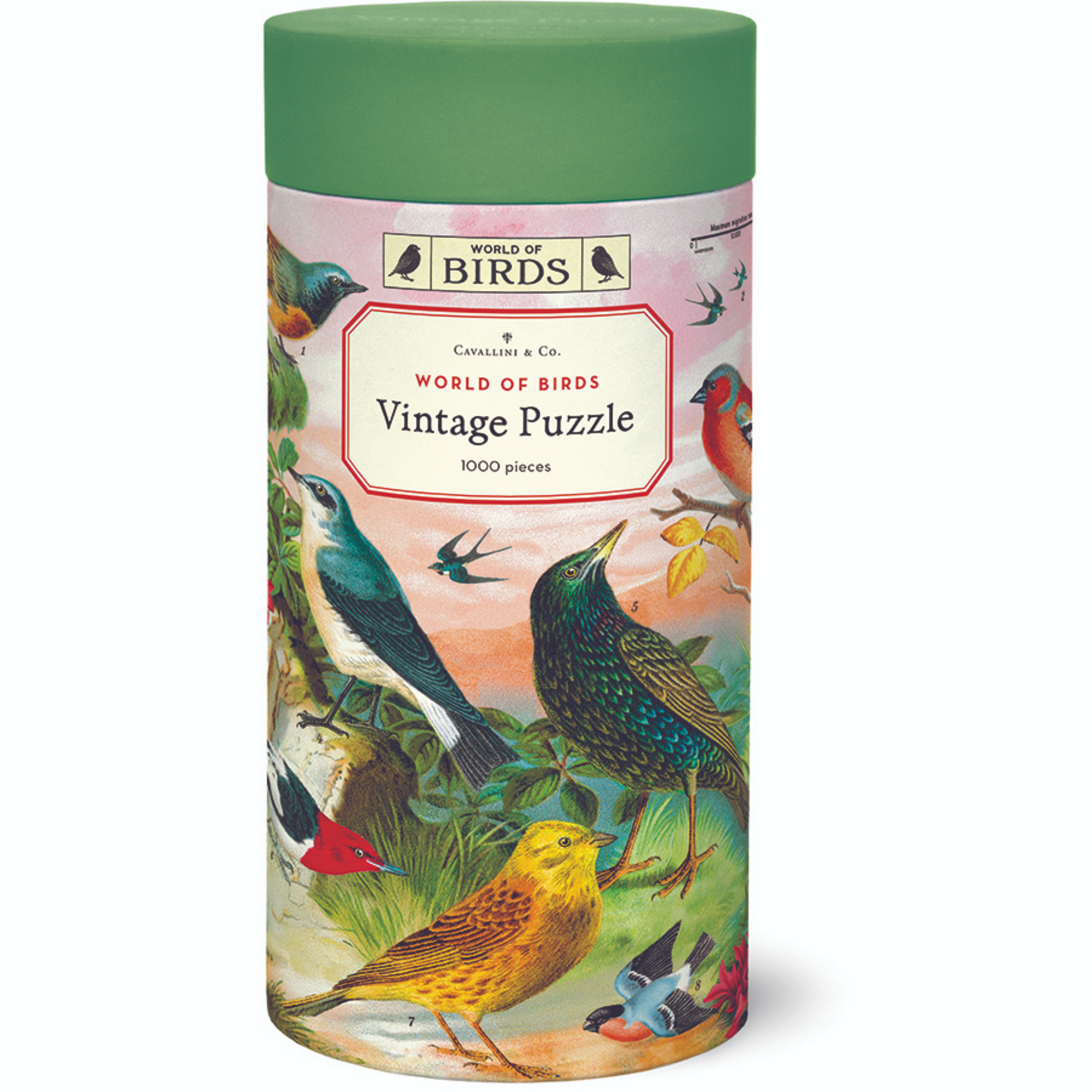 Cavallini and Co 1000 pc Puzzle World of Birds