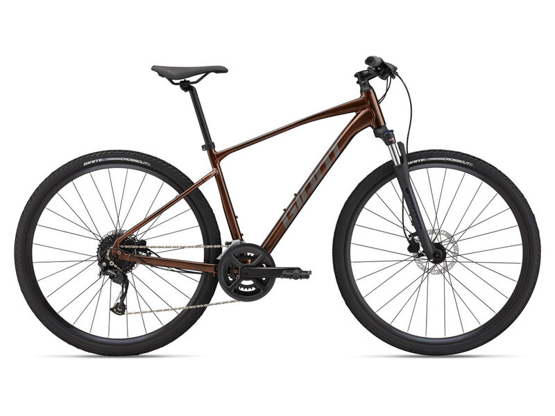 GIANT Roam 2 Disc - Vélo hybride