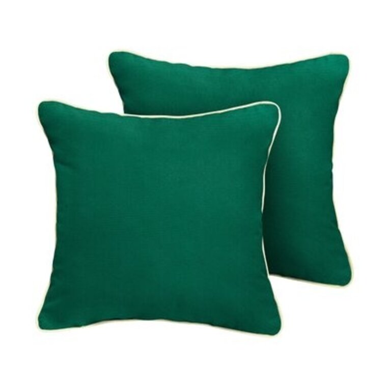 Everly Sunbrella Outdoor Throw Pillow Color: Green, Size: 18" x 18"