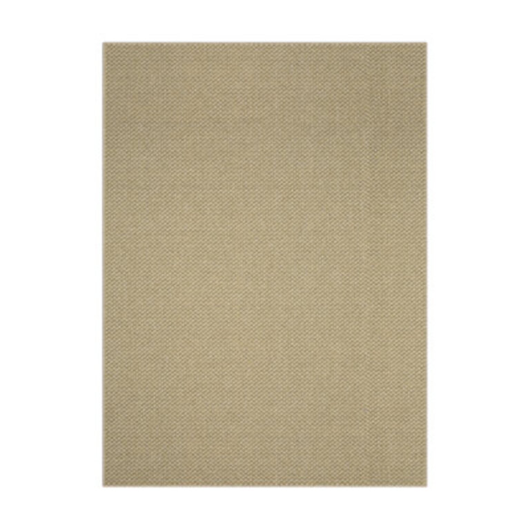 Cassie Indoor/ Outdoor Area Rug in Brown Rug Size: Rectangle 7'10" x 10'10"