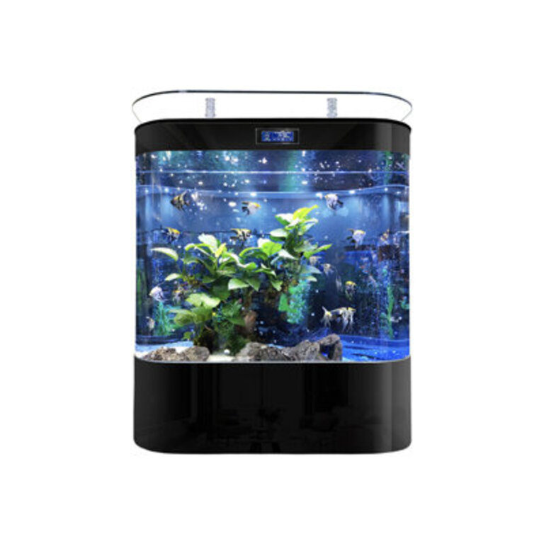 Elysa Rectangle Aquarium Tank Color: Black 120 Gallon, Size: 120 Gallon (54.3" H x 47.2" W x 19.6" D)