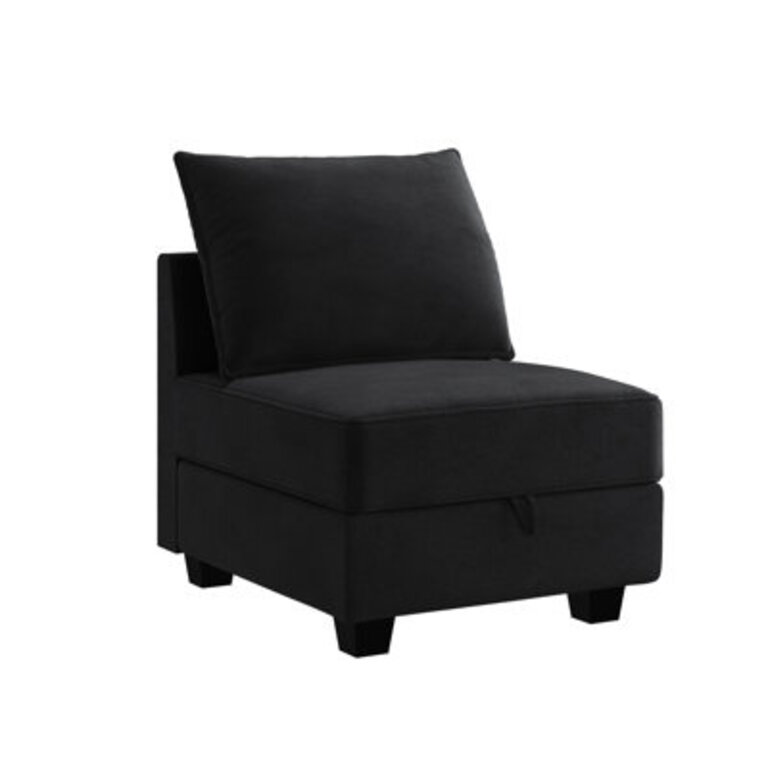 Pashko 25.6" Wide Velvet Slipper Chair Fabric: Black Velvet