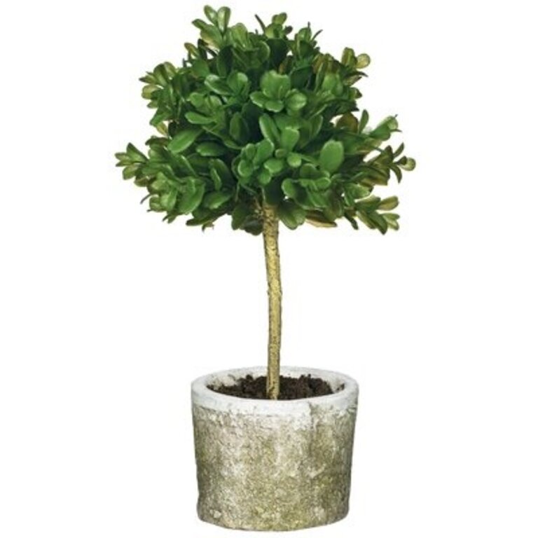 Mini Orb Topiary Boxwood Tree