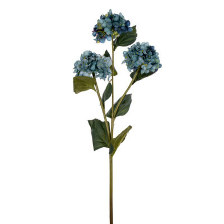 Vickerman Hydrangea Stem Flower Color: Blue