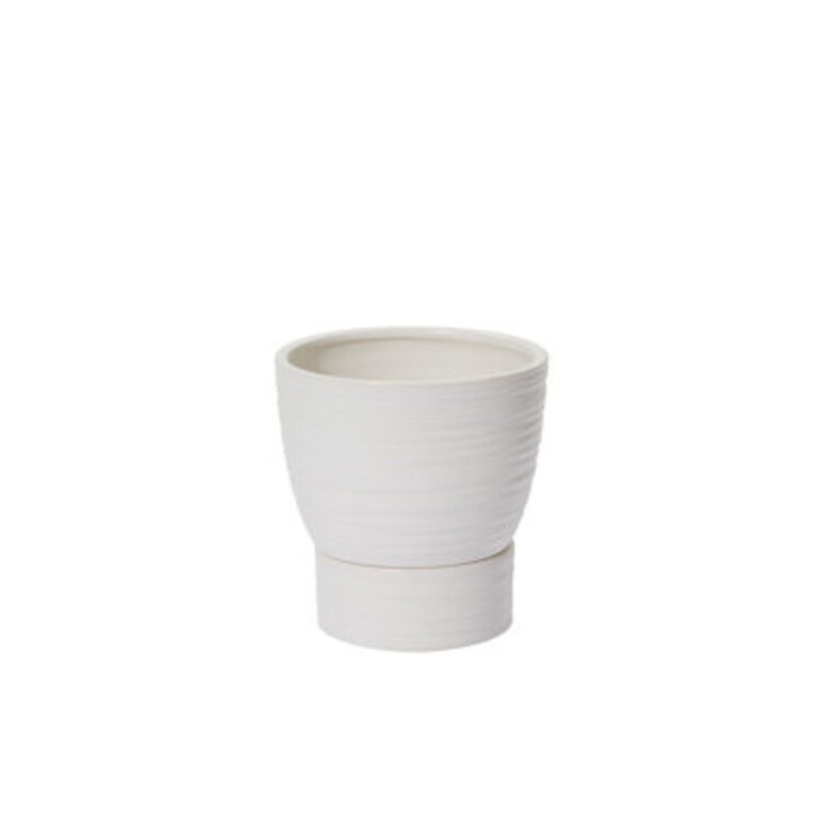 Canella Pot Size: 6.5" H x 6" W x 6" D