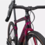 Specialized 21 Diverge Expert Carbon Raspberry/Redwood 56