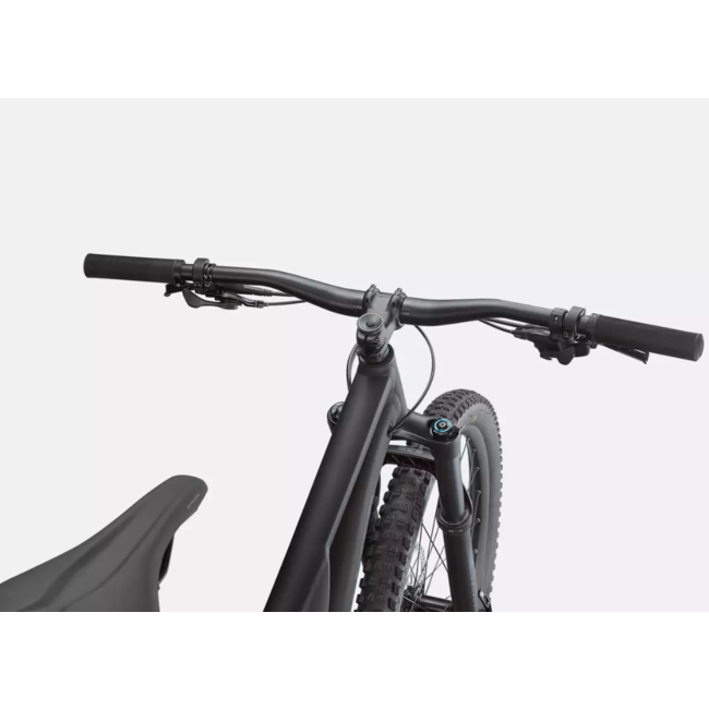 Specialized 22 SJ Alloy Black/Smoke S6