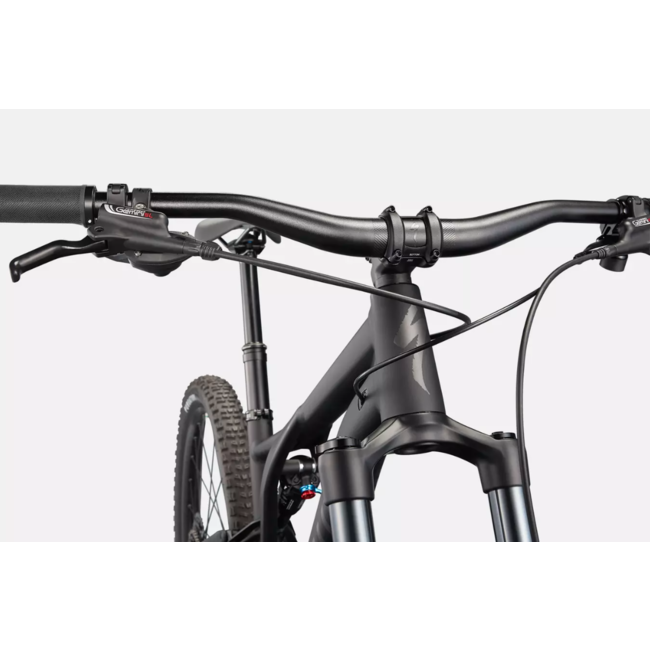 Specialized 22 SJ Alloy Black/Smoke S6