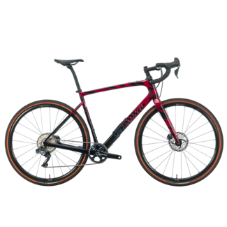 Specialized 21 Diverge Expert Carbon Raspberry/Redwood 56