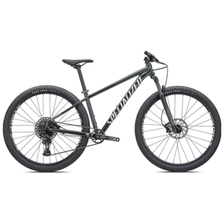 Specialized 21 Rockhopper Expert 29 Green/Silver S