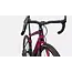 Specialized 21 Diverge Expert Carbon Raspberry/Redwood 56