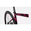Specialized 21 Diverge Expert Carbon Raspberry/Redwood 56