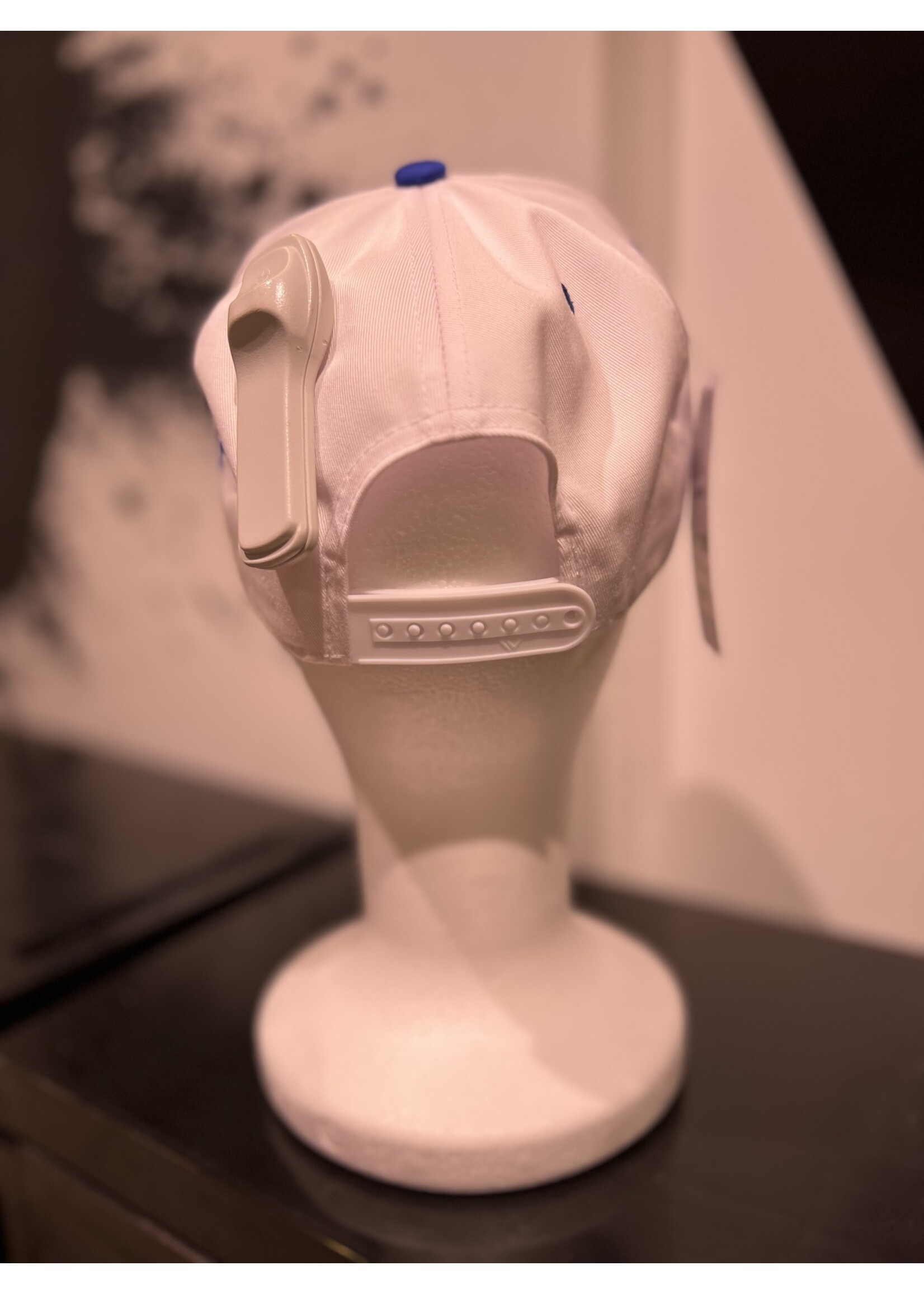 LEXISSBOUTIQUE Inspired Hat O/S