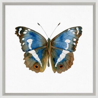 Butterfly Study 2 by Lillian August - Picture Frame Painting on Paper