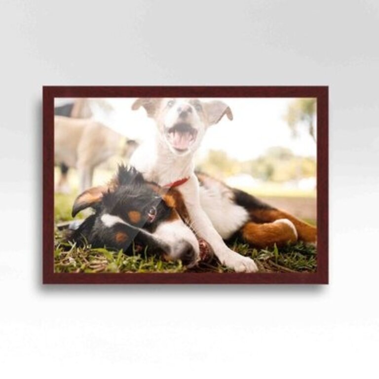 Wood Single Picture Frame in Brown Picture Size: 14" x 17" (set of 2)