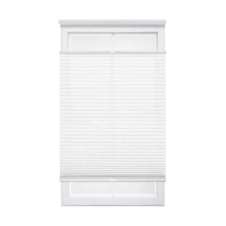 Cordless Top Down Bottom Up Semi-Sheer Cellular Shade Finish: White, Blind Size: 33.5"W x 64"L