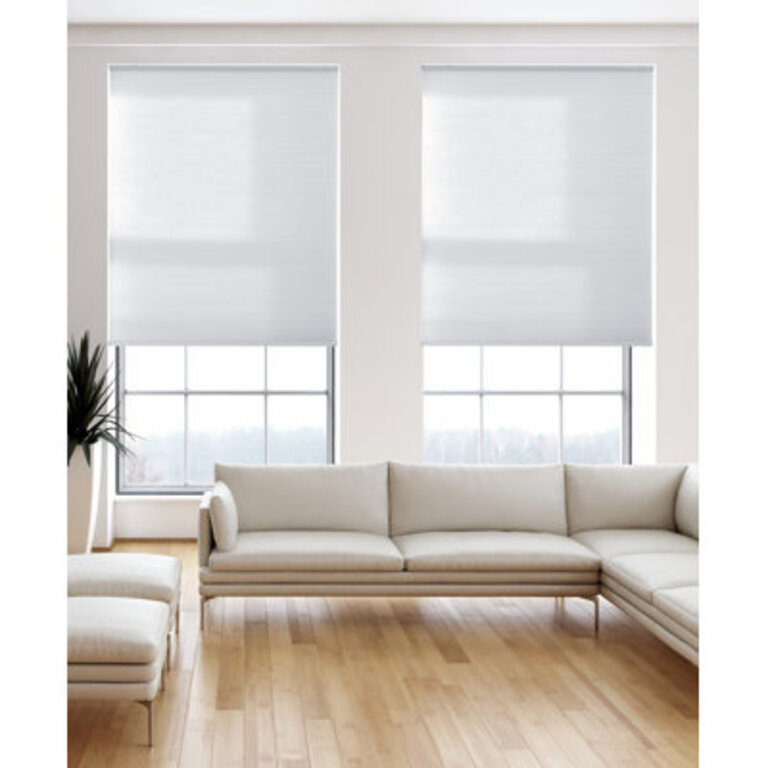 Light Filtering Cellular Shade Size: 32" W x 48" L, Color: White