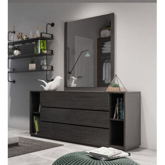 Amalie Rustic Dresser Mirror Finish: Grey Wash