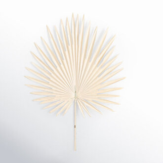 Lissa Palm Sprays Flowers/Leaves Color: Cream