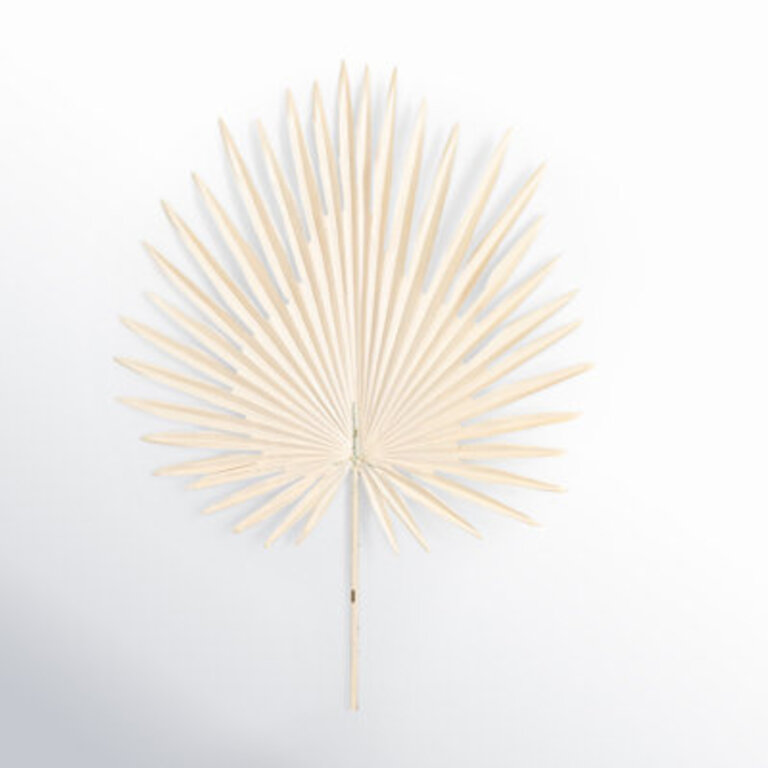 Lissa Palm Sprays Flowers/Leaves Color: Cream