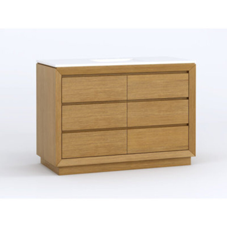 Danyale 54" Single Bathroom Vanity with Quartz Top